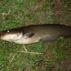 ポイントが絞り辛い