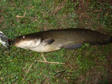 ポイントが絞り辛い