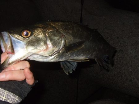 また水潮っぽい渋さ