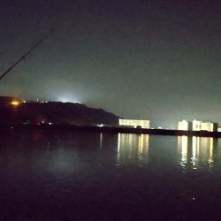 汽水にて大ウナギ