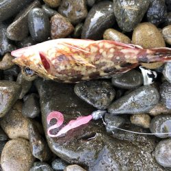 ふら〜っと釣り