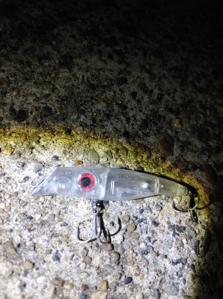 ほぼ1年ぶりのシーバス複数ヒット　