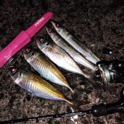 ずぶ濡れになりながら…