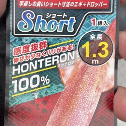 デイイカメタルでケンサキイカ