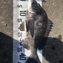 イチノ兄弟（兄）釣果！