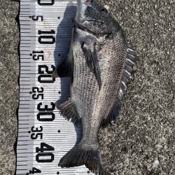 イチノ兄弟(兄)釣果!