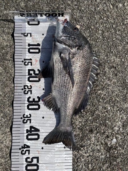 イチノ兄弟(兄)釣果!