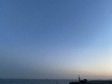 ショアオモリグ　コウイカ