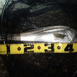 雨後の表層狙いはNG？