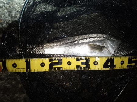 雨後の表層狙いはNG？