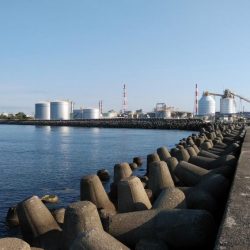 高砂のキス調査