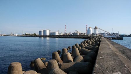 高砂のキス調査