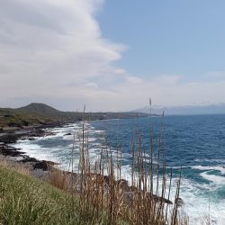 北海道積丹周辺でホッケを釣る！!