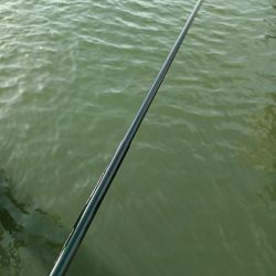 2023/05/04 大阪市内河川 稚鮎釣り