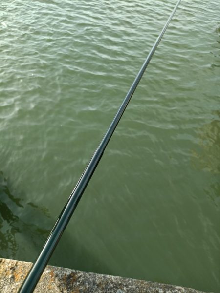 2023/05/04 大阪市内河川 稚鮎釣り