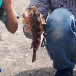 ファミリーフィッシング