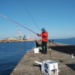 買い物待ち釣行