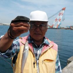 播磨新島のキス情報