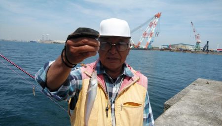 播磨新島のキス情報