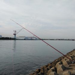 東二見のキス情報