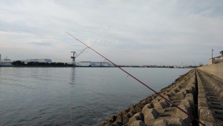 東二見のキス情報