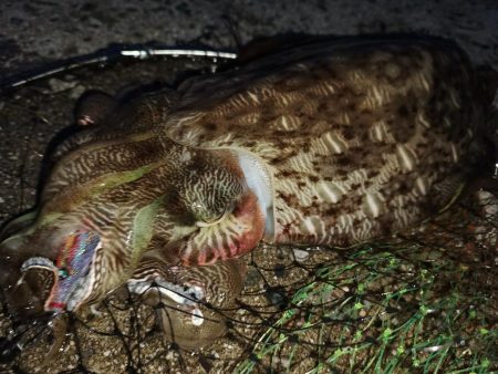 仕事帰りに二杯は上出来