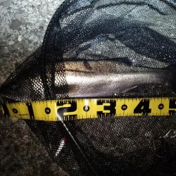 行ってみないと分からないよね～