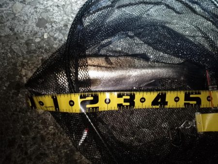 行ってみないと分からないよね～