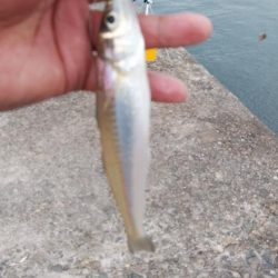 東二見のキス情報