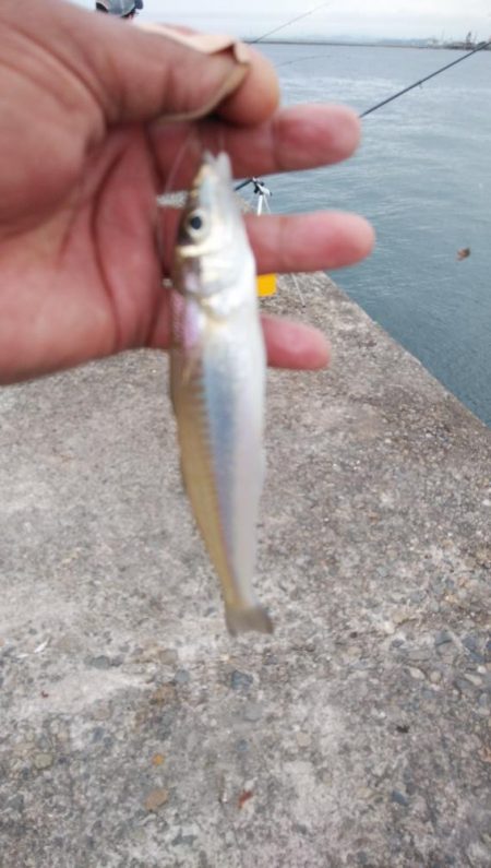 東二見のキス情報