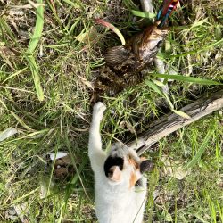 久しぶりに釣れました！！