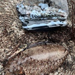 もうお前らええんやけど