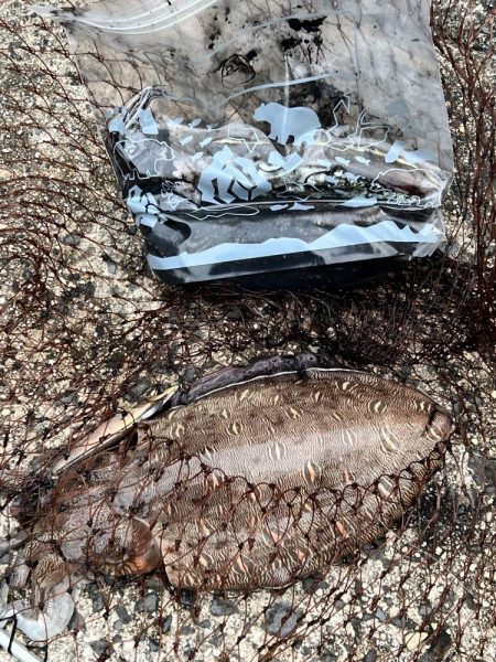 もうお前らええんやけど