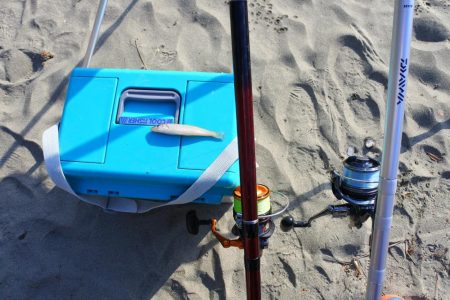 キス釣り 強風に苦戦