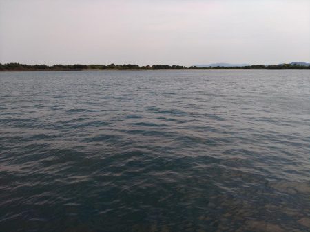 アジングロッドで抜き上げました