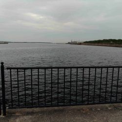 久々にチヌに遊んでもらいました