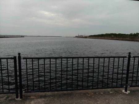 久々にチヌに遊んでもらいました