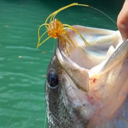 プリスポーンダイナマイト！