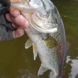 産後でお疲れの様子…