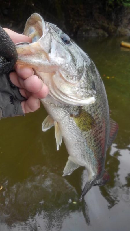 産後でお疲れの様子…