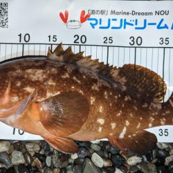 フロートアジング