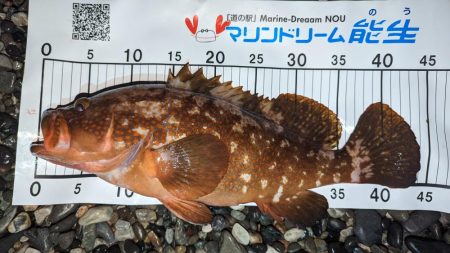 フロートアジング