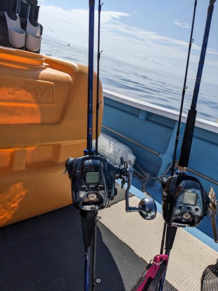 ヒラメ大量（サウス）