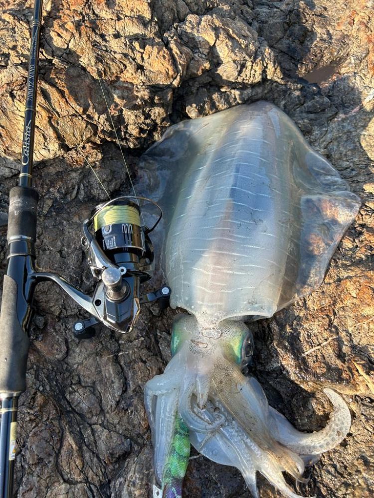 自己記録更新‼️