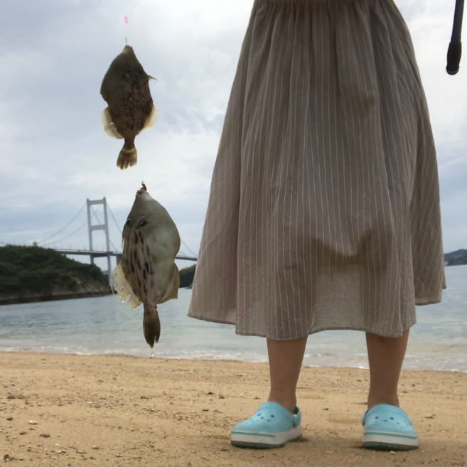 大島投げカワハギ