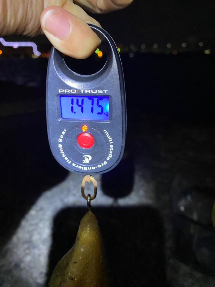 念願のキロアップ!!!