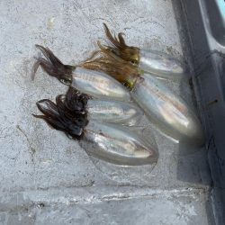 楽しいボートエギング♡