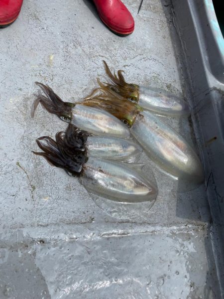 楽しいボートエギング♡