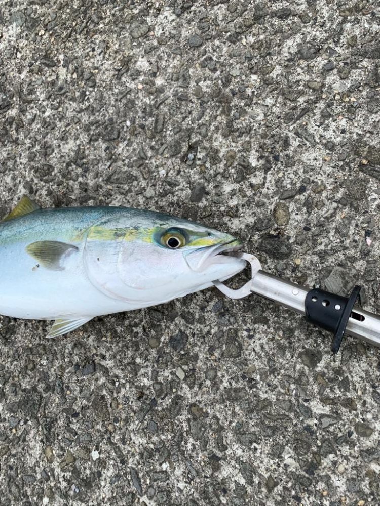 朝夕すごかった