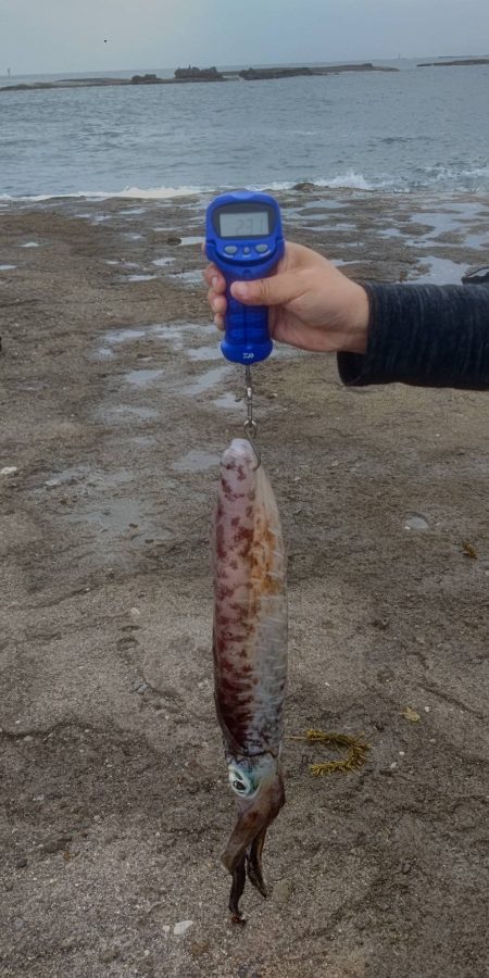 自己記録更新‼️